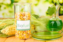 Totnes biofuel availability